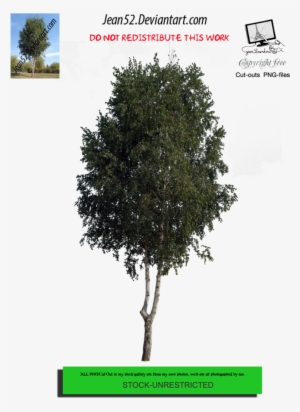 Tree Png By Jean52 - Pumpkin #3294034