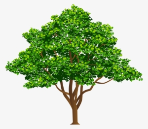 Tree Free Png Clip Art Image - Tree Png #3294291