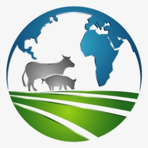 World Of Vegan - Countries That Have Birthright Citizenship Map #3294872