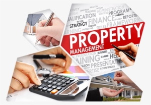 Property Management #3295151