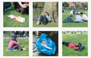 When We Go On A Picnic It Is Generally A Spontaneous, - Grass #3296316