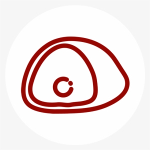 Retail Meat - Circle #3297163