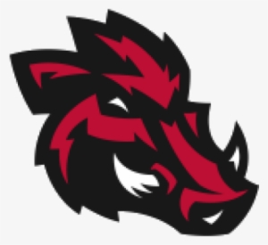 Arkansas Razorbacks #3298711