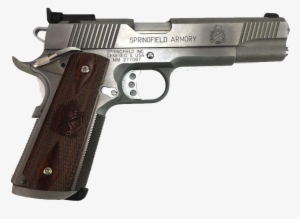 Springfield Armory Trophy Match Cal - Dan Wesson Firearms #3299174