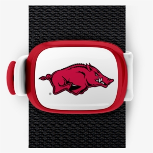 Arkansas Razorbacks Stwrap #3299197