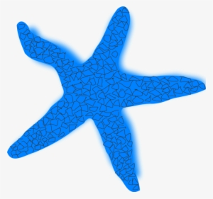 Starfish Vector Transparent - Star Fish Top View #330200