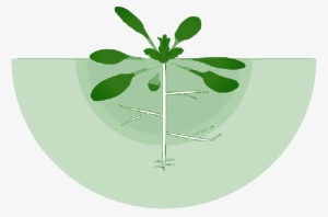 Mb Image/png - Root #330519 Mb Image/png - Root #330519