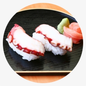 Nigiri Sushi - Tako Sushi #330758
