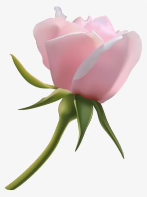 Cb Edits Rose Png #331035