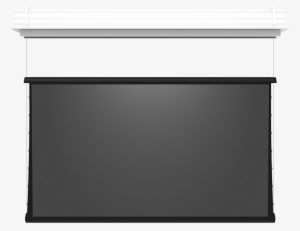 Zero-g - Zero Gravity Corporation #331144