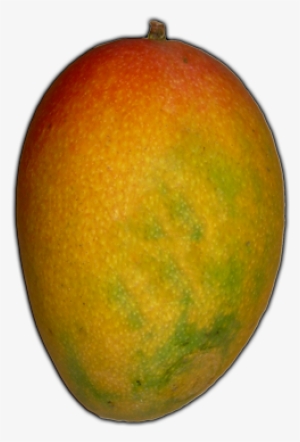 Harbor - Mango Transparent Background #331164