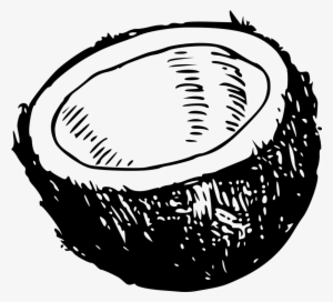 Coconut Clipart Black And White #331168