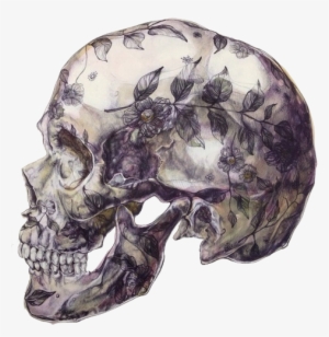 Transparency Shit Blunt Transparent Tumblr - Floral Skull Illustration Hd #331240