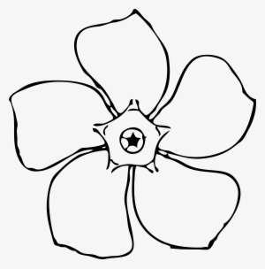 Images For Magnolia Flower - Periwinkle Flower Outline #331364