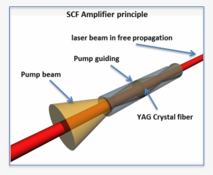 Not Found - Ranged Weapon #331581