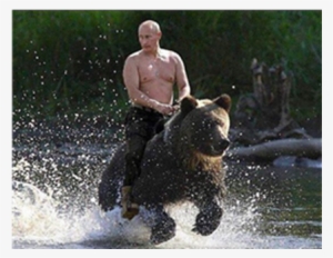 Thumb Image - Putin And A Bear #331602