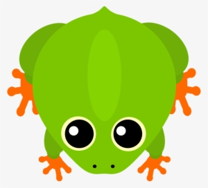 Frog #332135
