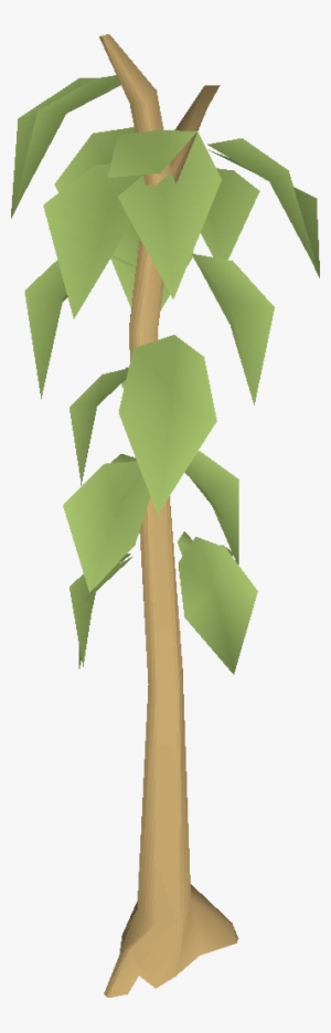 Teak Tree - Teak Tree Osrs #332265