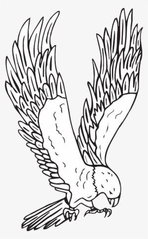 Mb Image/png - Hawk Clipart Black And White #332292