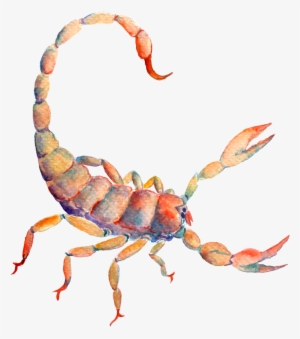 9-1 - Astrological Sign #332440