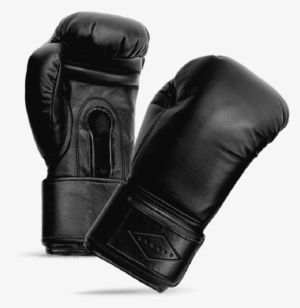 Mcfw160019 Boxing Gloves N Cerdan - Amateur Boxing #332698