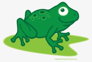 Amphibian Clipart Frog Family - ব্যাঙ Png #332846