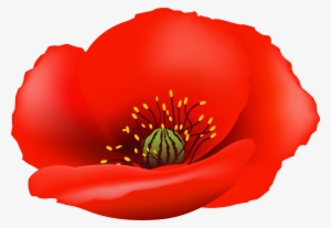 Poppy Flower Clipart Royalty Free - Clipart Poppy Flower Png #333194