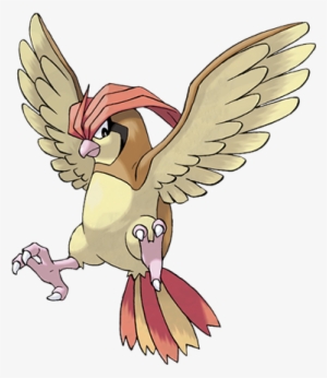 Pidgeotto - Pokemon Pidgeotto #333278