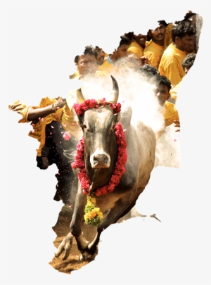 Tamilnadu Tamil Culture South - Advanced Tamil New Year #333555