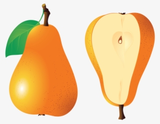 Pear - Clipart Груша #334527