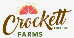 World Of Art - Broché #334591