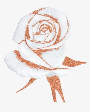Hand Painted A White Rose Png Transparent Free Download - Portable Network Graphics #334968