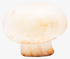 Download Mushroom Png Image - Wood #335974