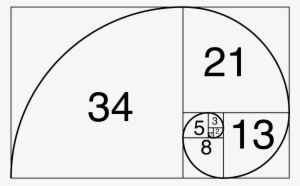 Golden Rectangle - Fibonacci Spiral #336060
