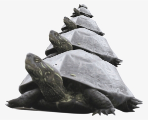 This Free Icons Png Design Of Pyramid Of Turtle #336082