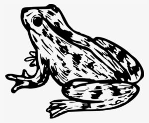 Dog Frog Jumping Contest Toad Amphibian - Clip Art #336128