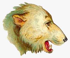 Polar Bear - Lion #336212