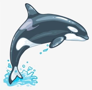 Killer Whale Png File - Killer Whale Png #336346