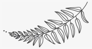 Fern-2 #336435