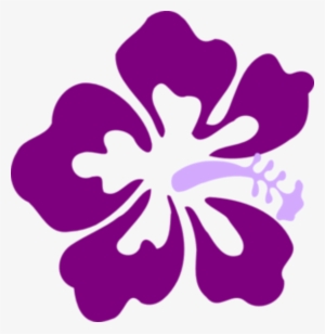 Width Of This Illustration Is 582 Pixels - Hibiscus Clip Art #337324