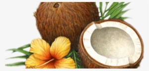 Surprising Beauty Benefits Of Coconut Oil - Coconut Oil #338236