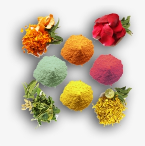 Colors Of Holi - Garden Roses #338299