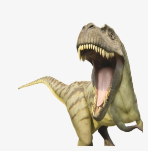 Dinosaur #338324