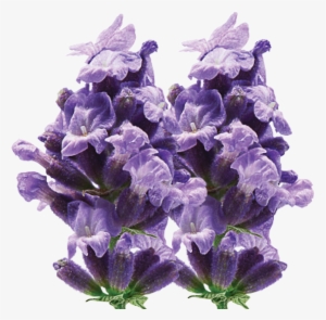 Artificial Flower #338406