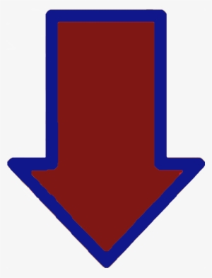 Flecha - Denovo Fda 510k #338483