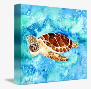 Sea Turtle Sea Life Painting Print By Derek Mccrea #338505