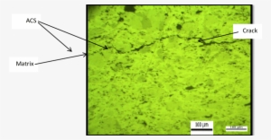 The Regime Of The Crack E - Grass #339179