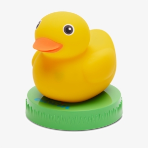Edvin-duck - Product #339430