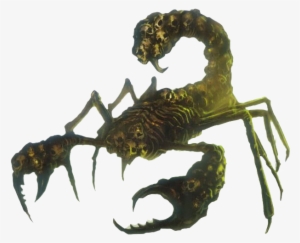 Companion As Core Grabs For The Scorpion - Pathfinder Skull Ripper #339500