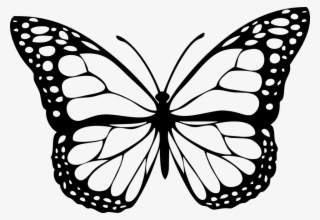 Swallowtail Butterfly Insect Image File Formats Monarch - Kupu Kupu Hitam Putih #339817